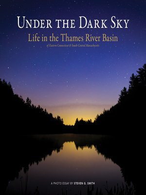 cover image of Under the Dark Sky